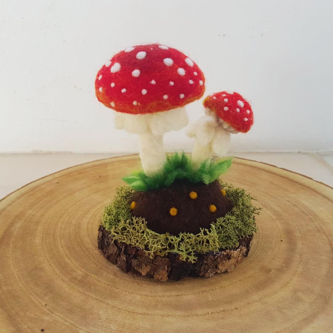 Cogumelos feltrados - vermelhos, amanita muscaria
