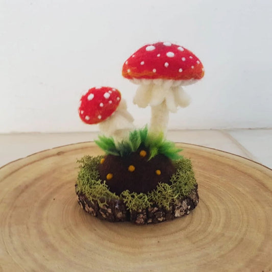 Cogumelos feltrados - vermelhos, amanita muscaria