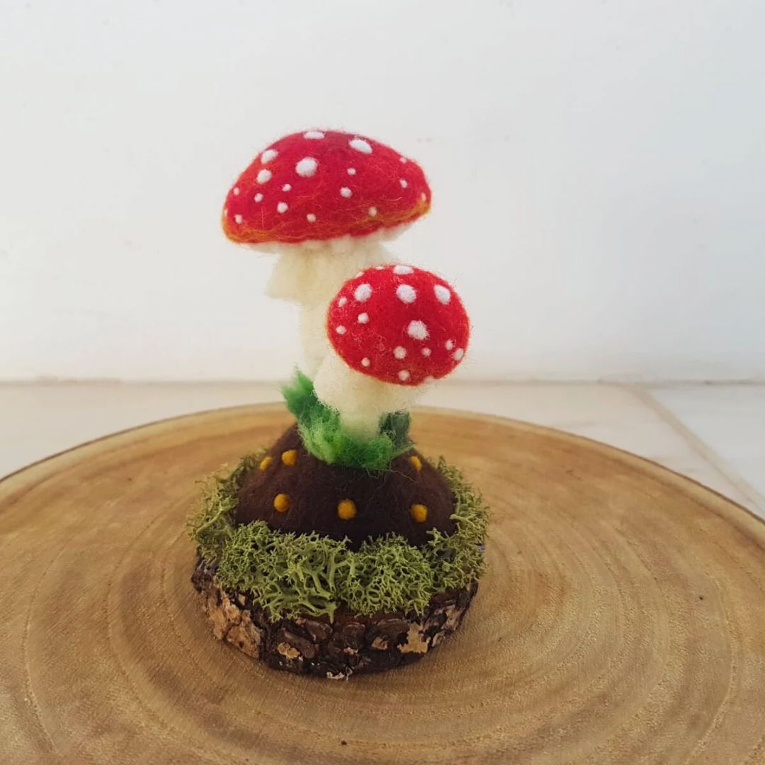 Cogumelos feltrados - vermelhos, amanita muscaria