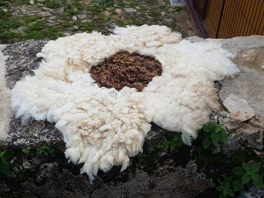 Tapetes de flores com centro castanho e pétalas brancas