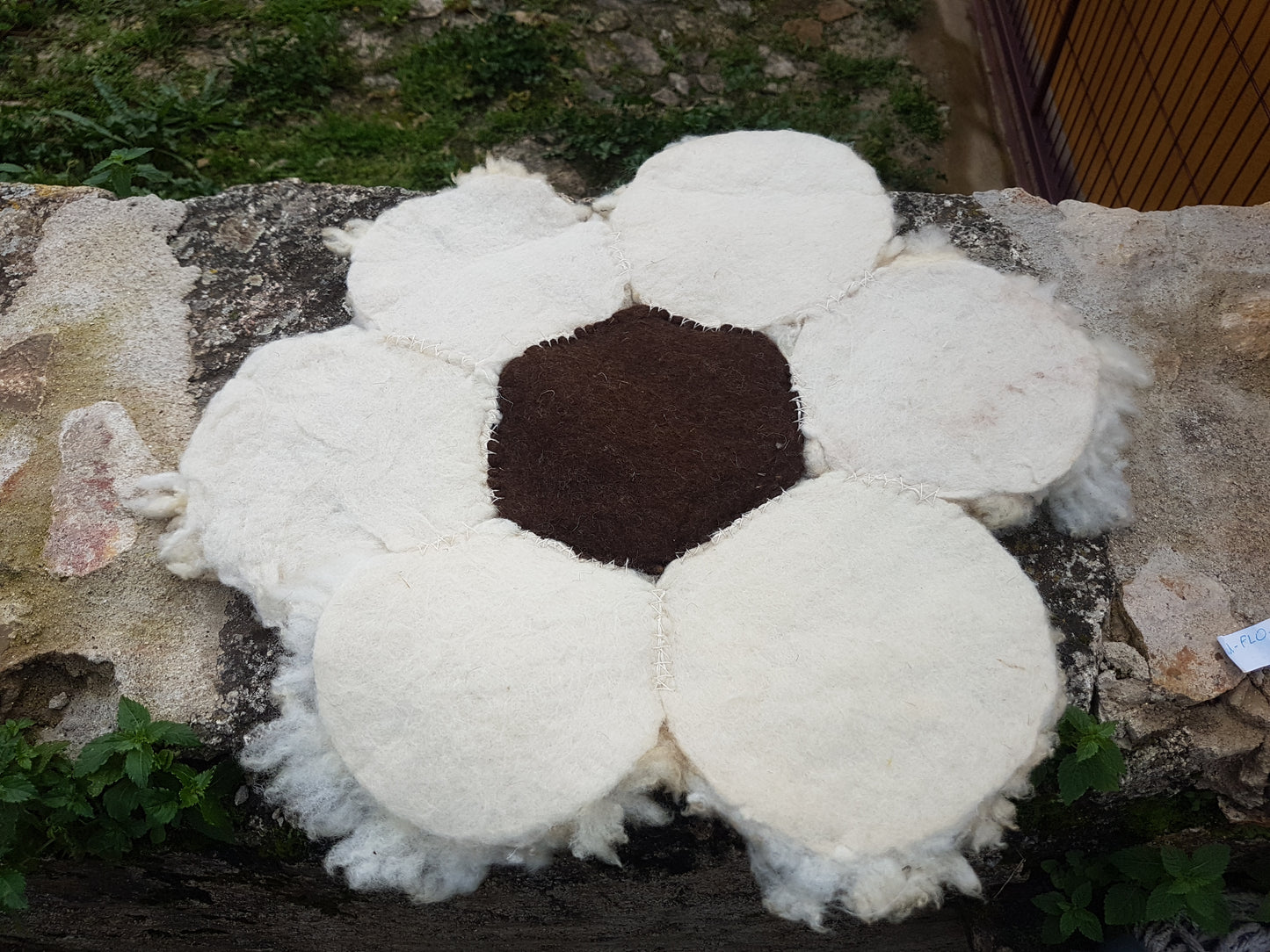 Tapetes de flores com centro castanho e pétalas brancas