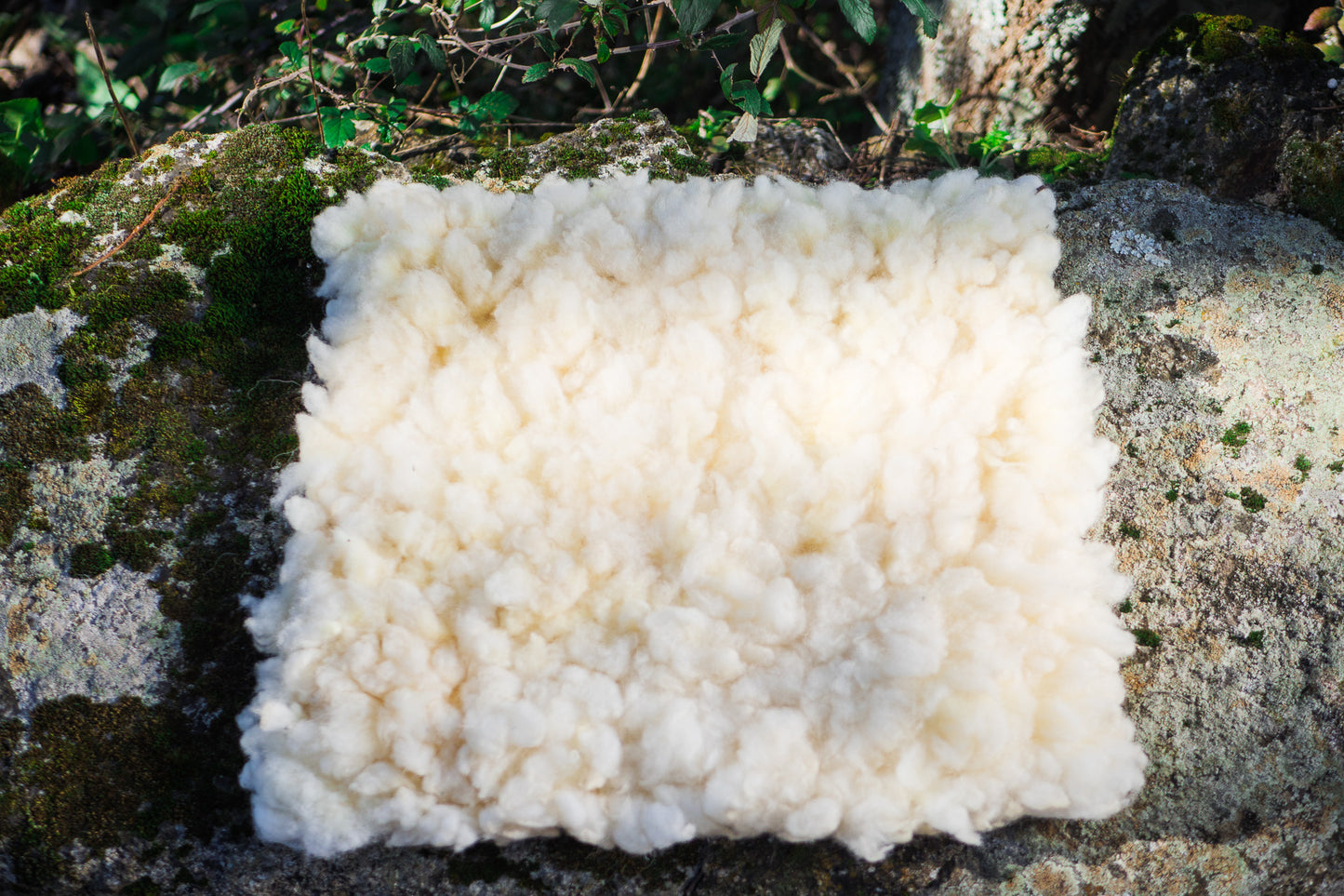 White felted merino wool cushion covers