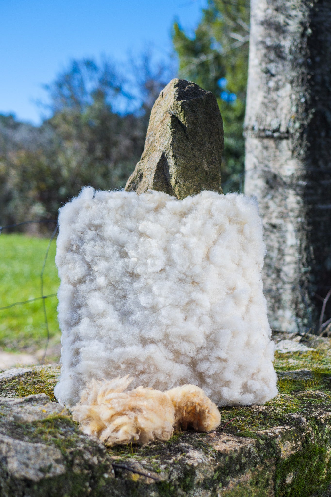 White felted merino wool cushion covers