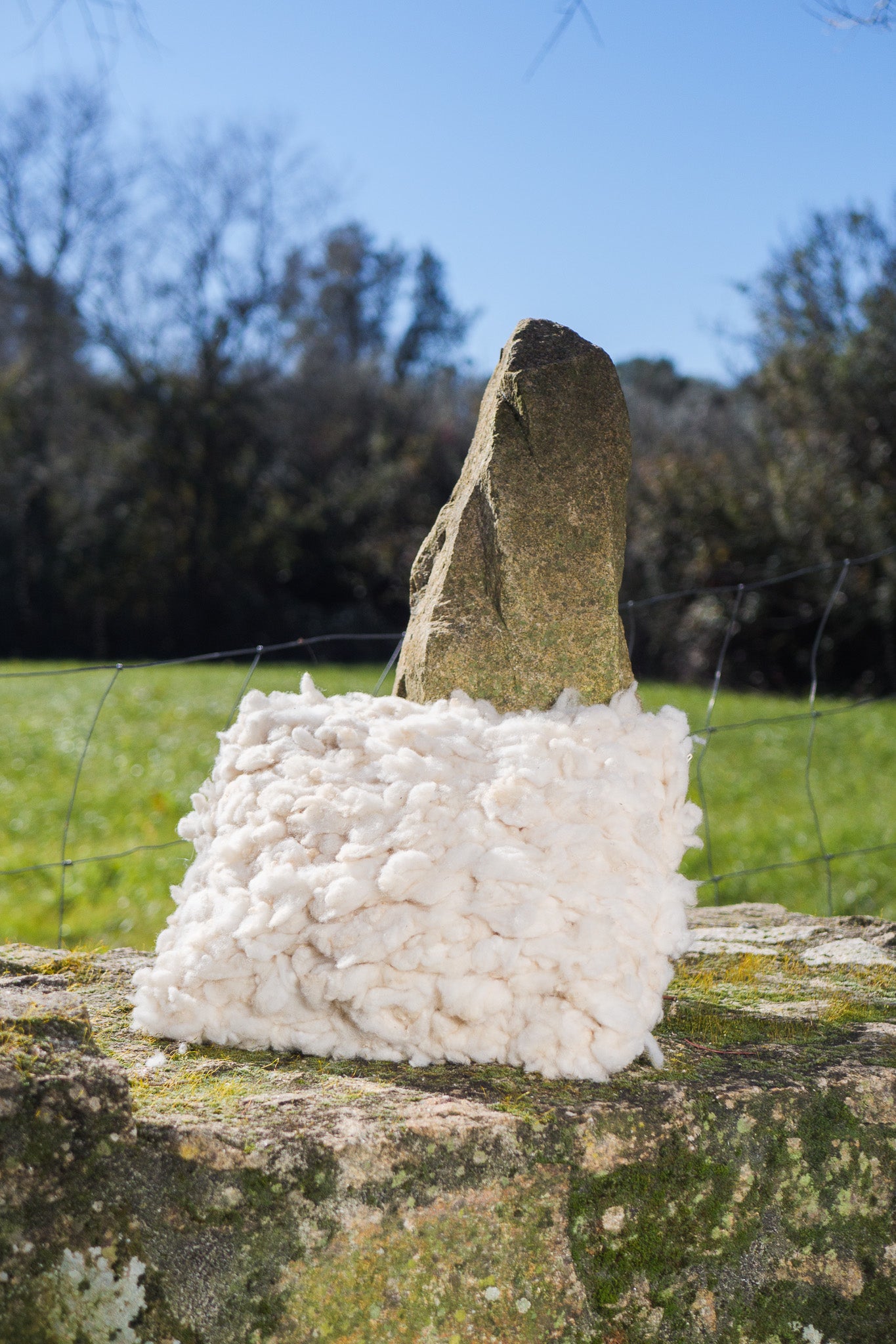 White woven wool cushions with fabric back side