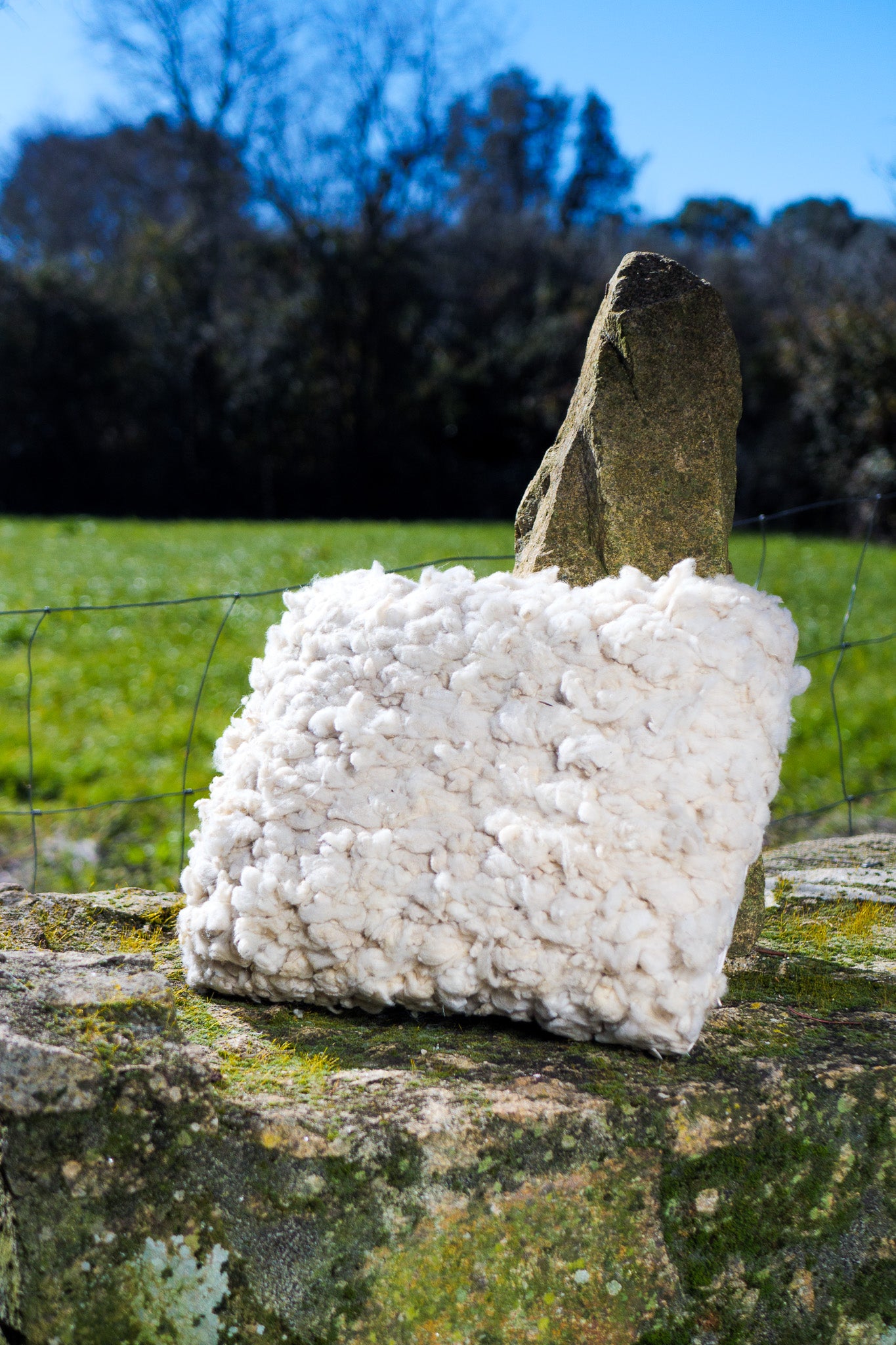 White woven wool cushions with fabric back side