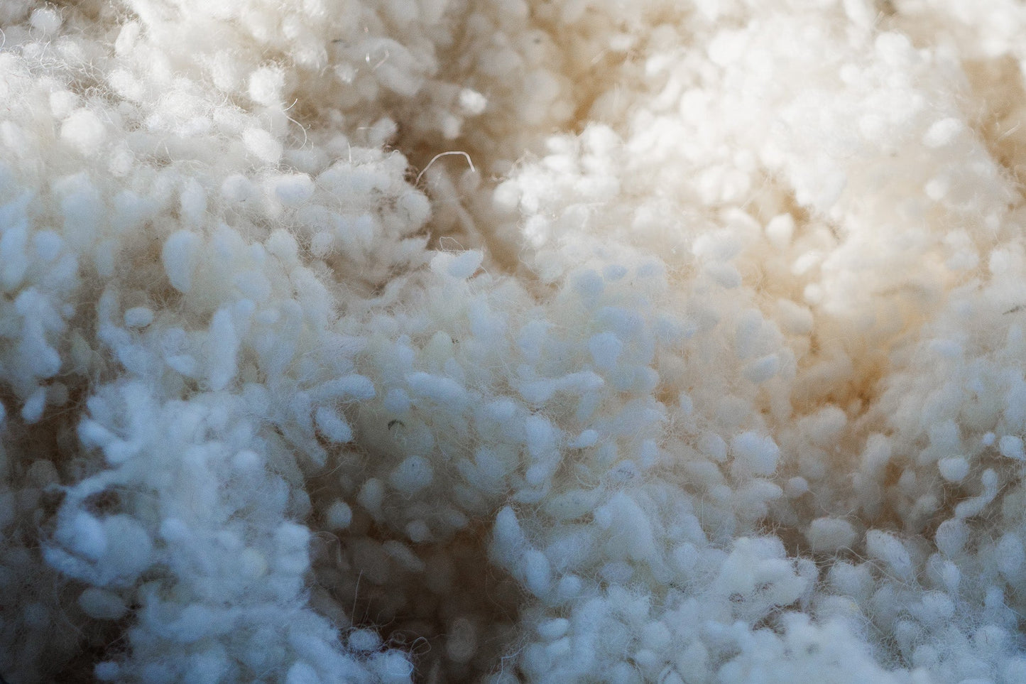 Wool filling