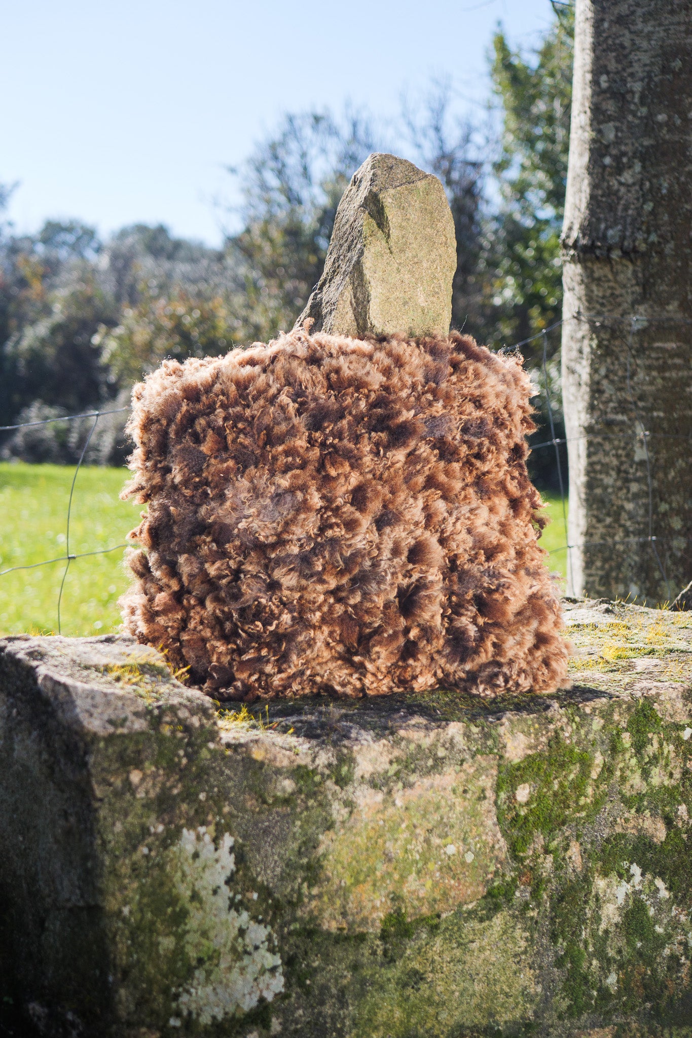 Brown felted wool cushions