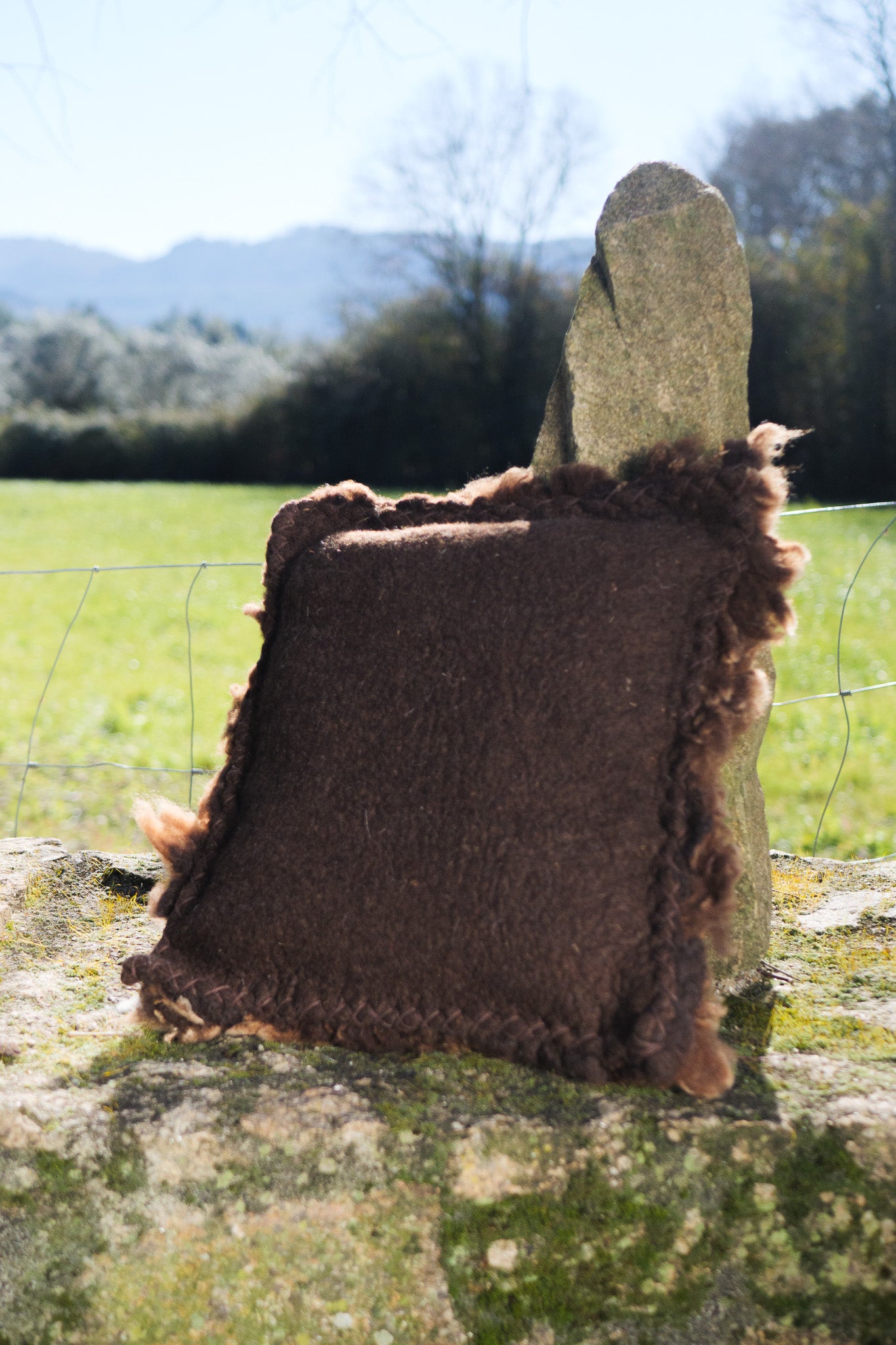 Brown felted wool cushions
