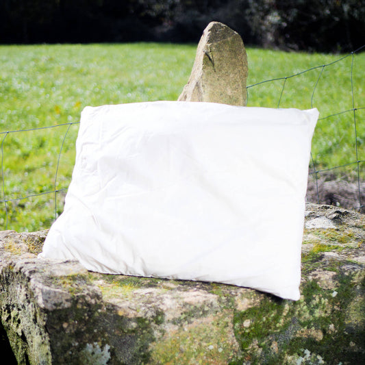 Pillows with 100% wool filling and organic cotton shell