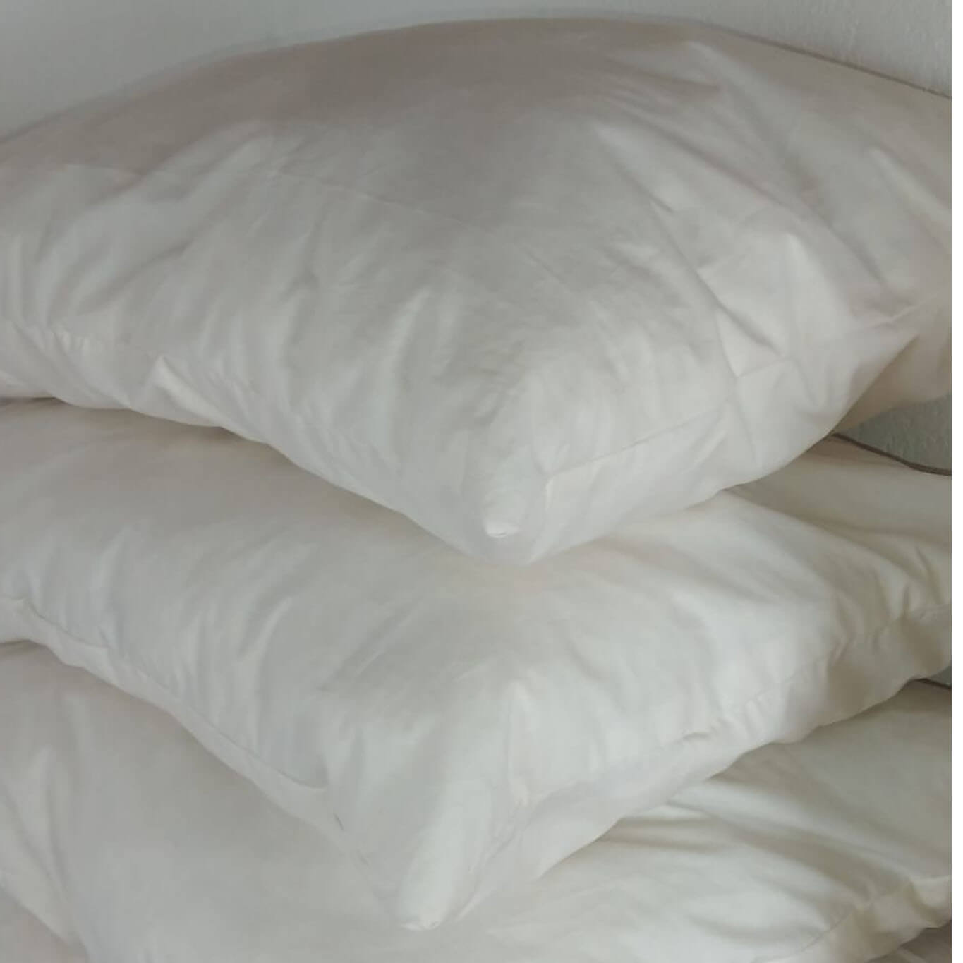 Pillows with 100% wool filling and organic cotton shell (non-standard sizes)