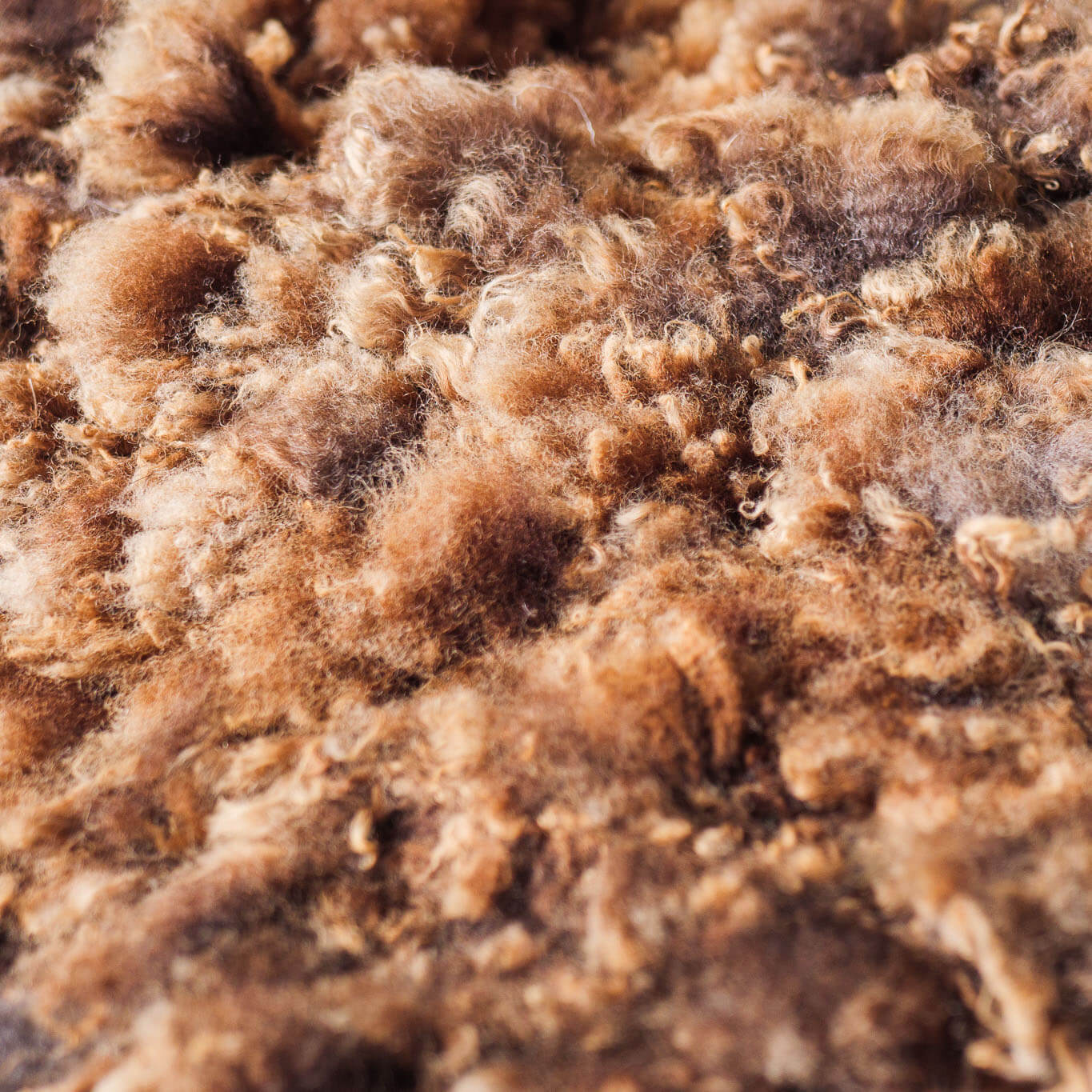 Brown felted wool cushions
