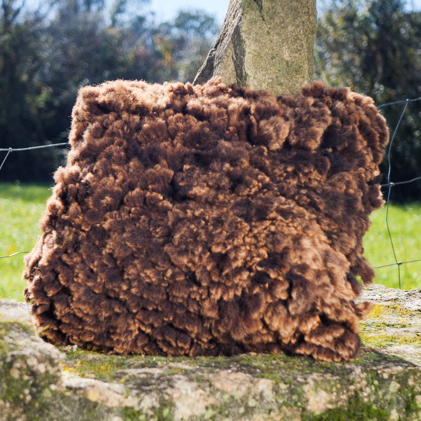 Brown felted wool cushions
