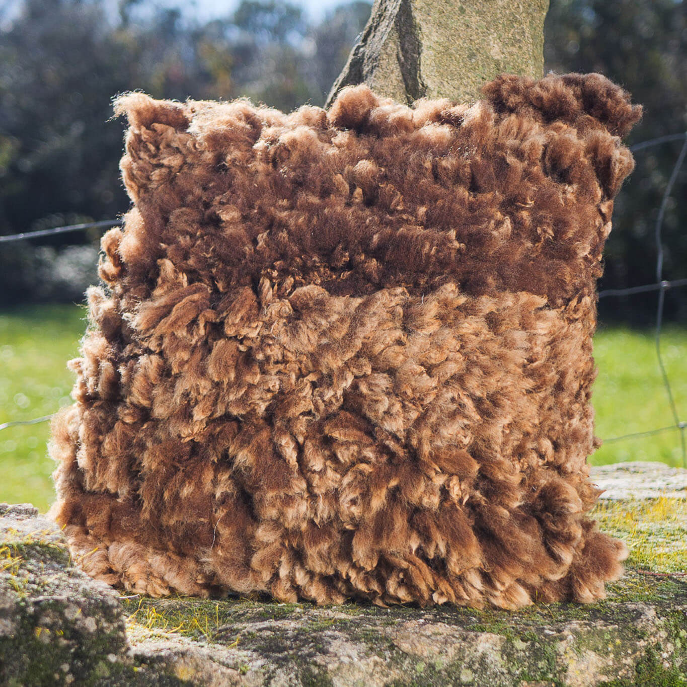 Brown felted wool cushions