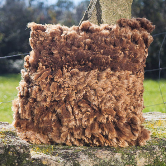 Brown felted wool cushions