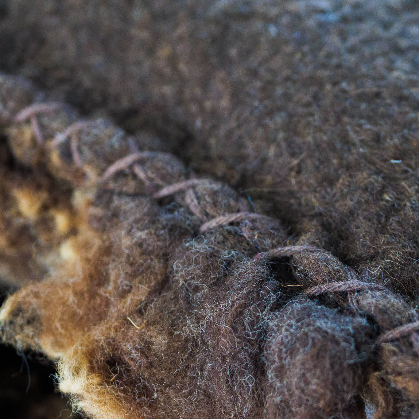 Brown felted wool cushions