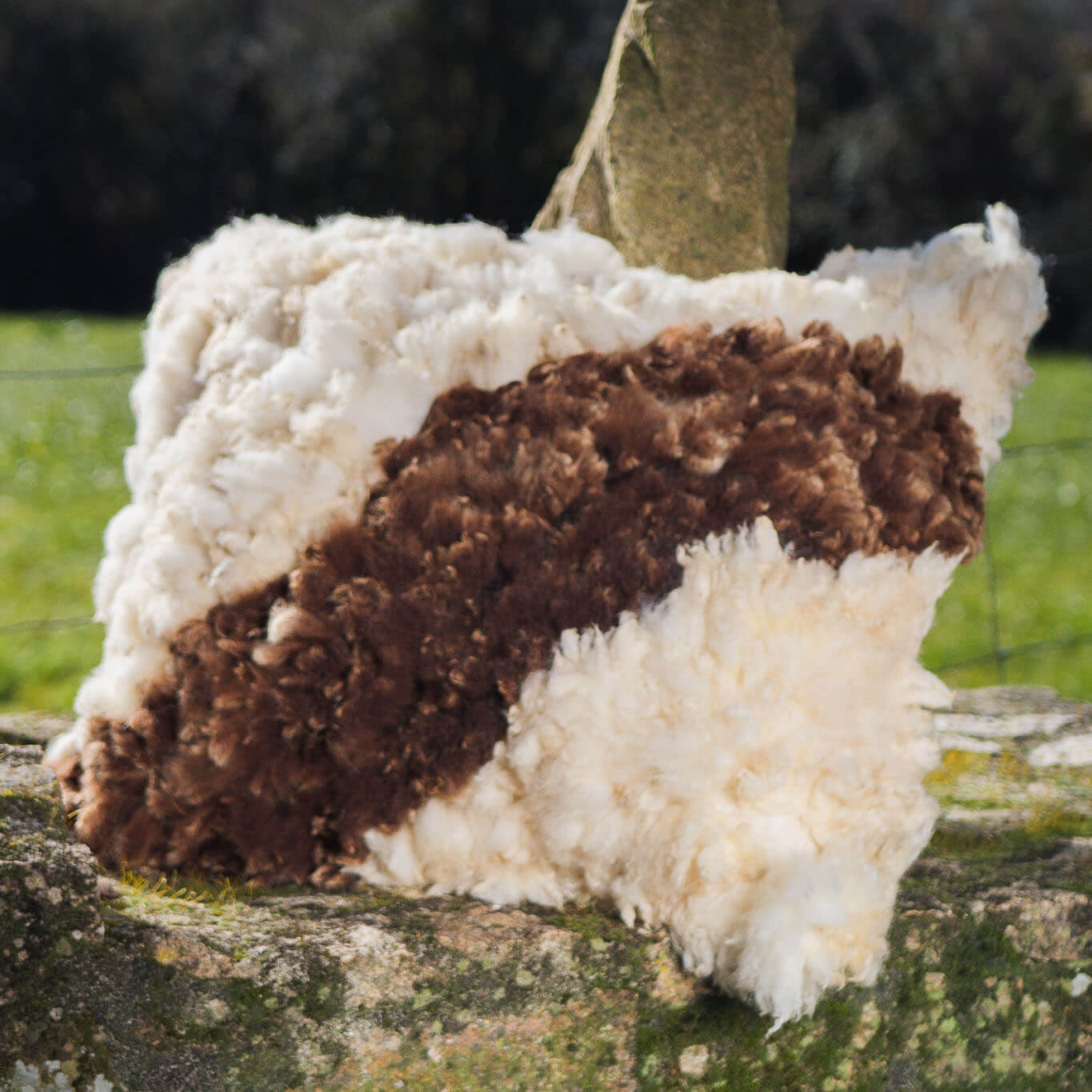 Brown-and-white felted wool cushion