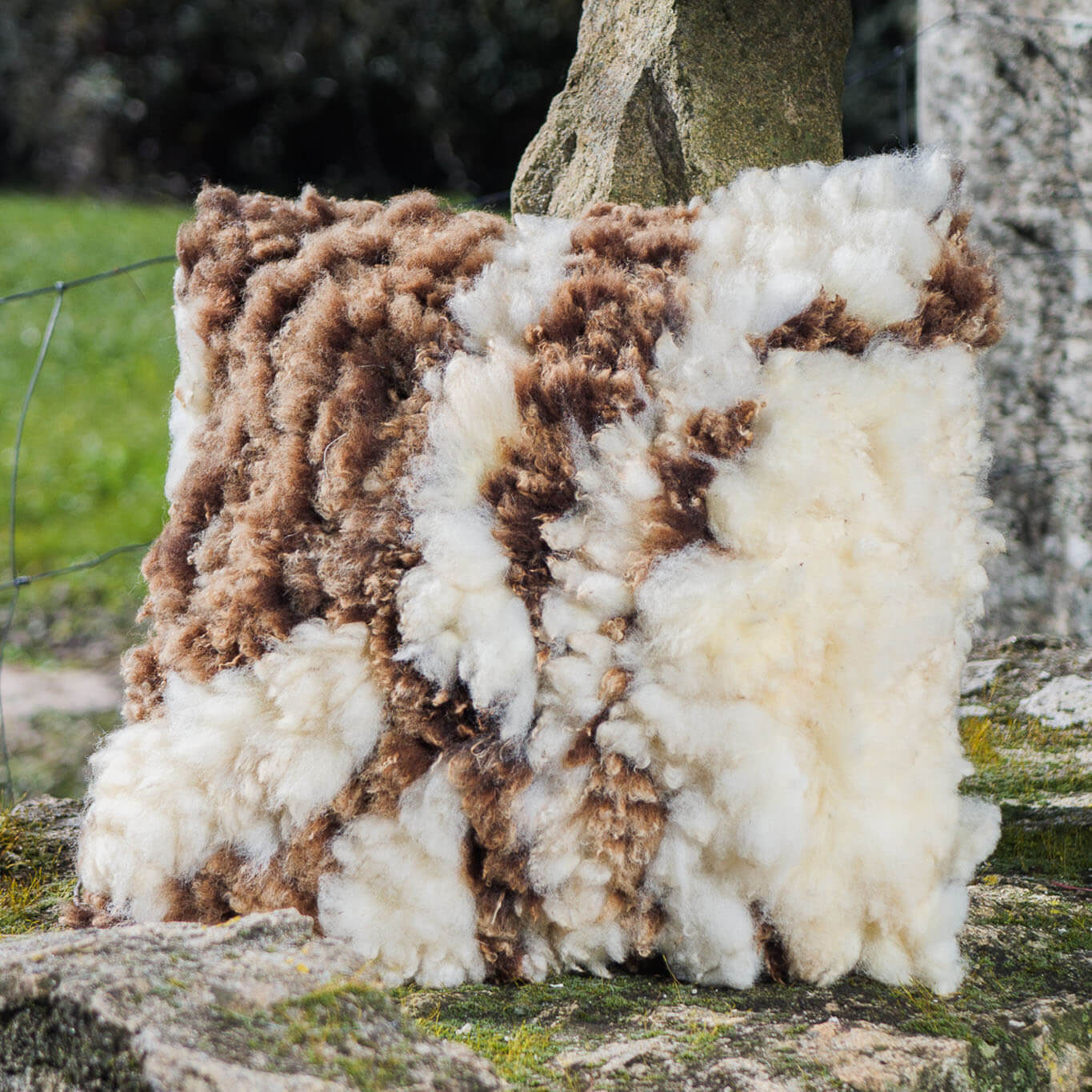 Brown-and-white felted wool cushion
