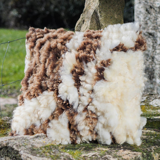 Brown-and-white felted wool cushion
