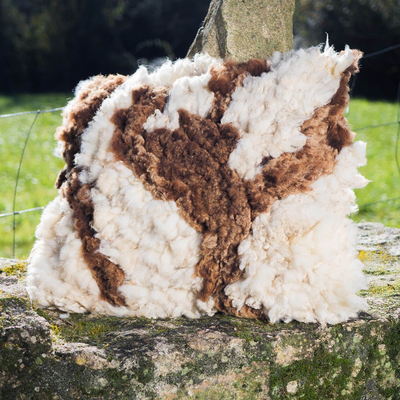 Brown-and-white felted wool cushion