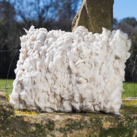 White woven wool cushions with fabric back side