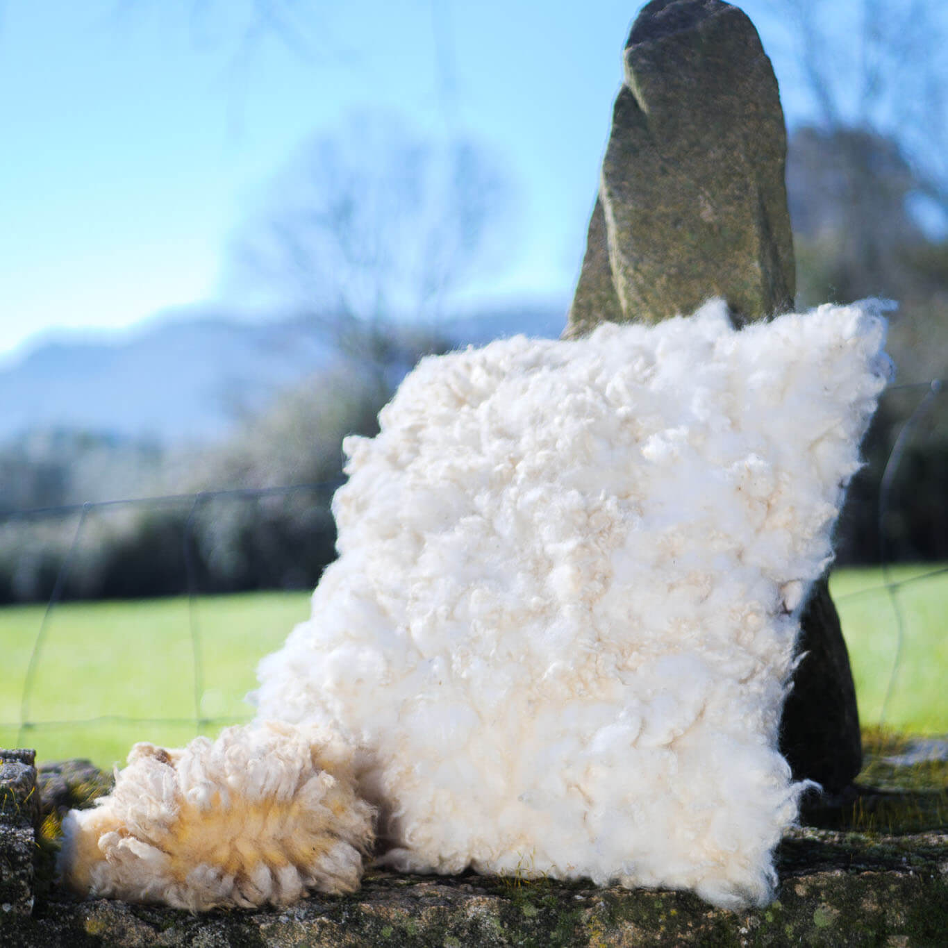 White felted wool cushions