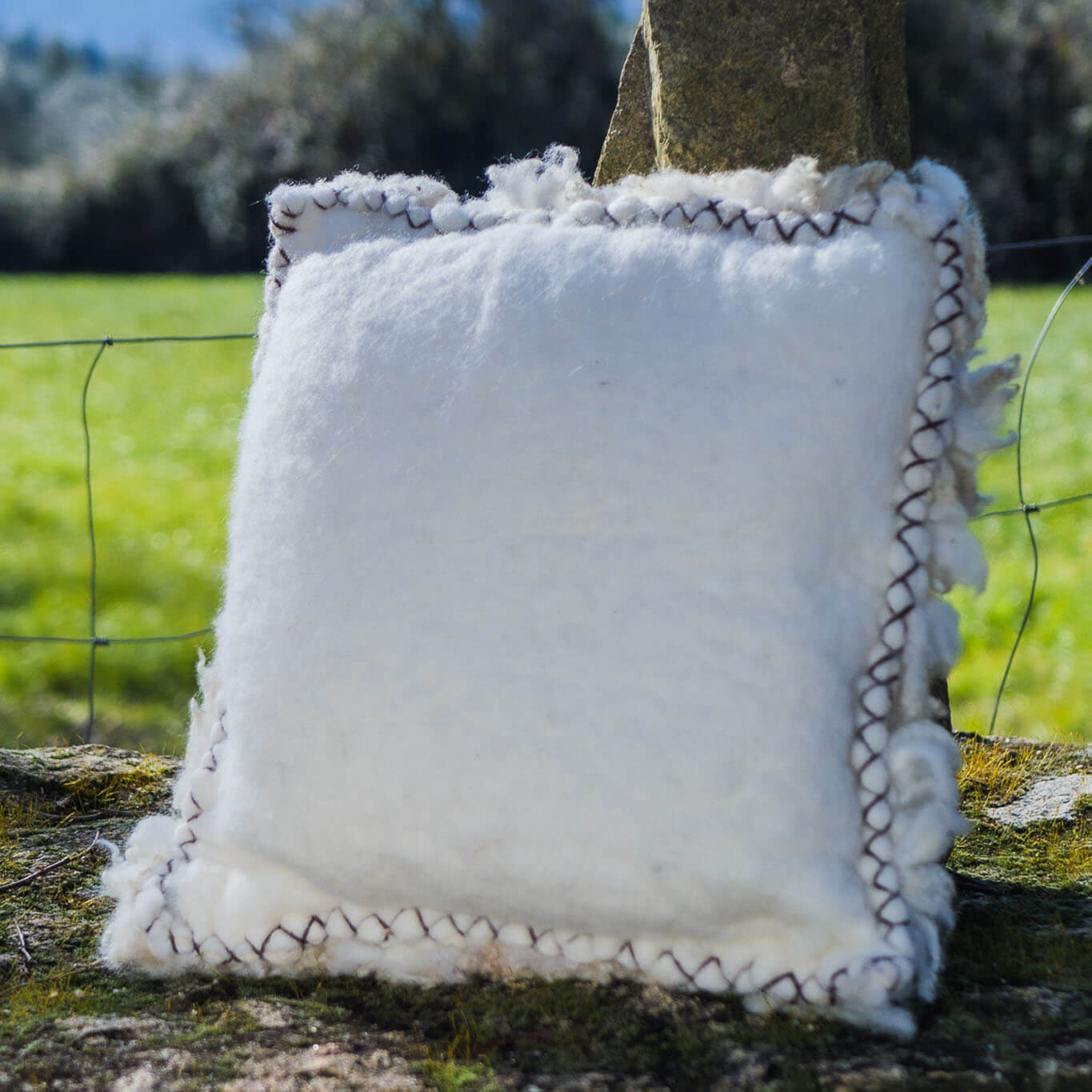 White felted wool cushions