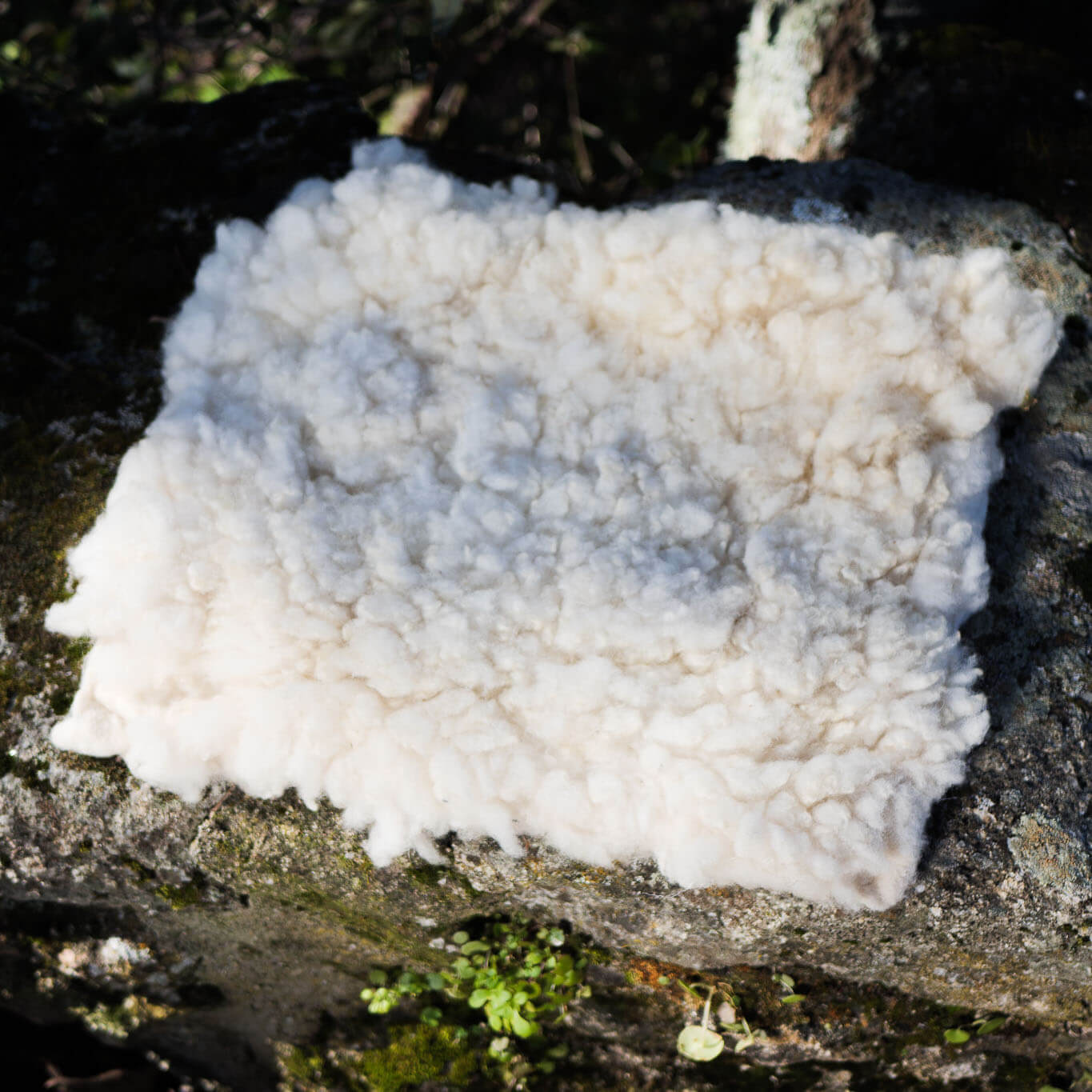 White felted merino wool cushion covers with recycled fabric backside