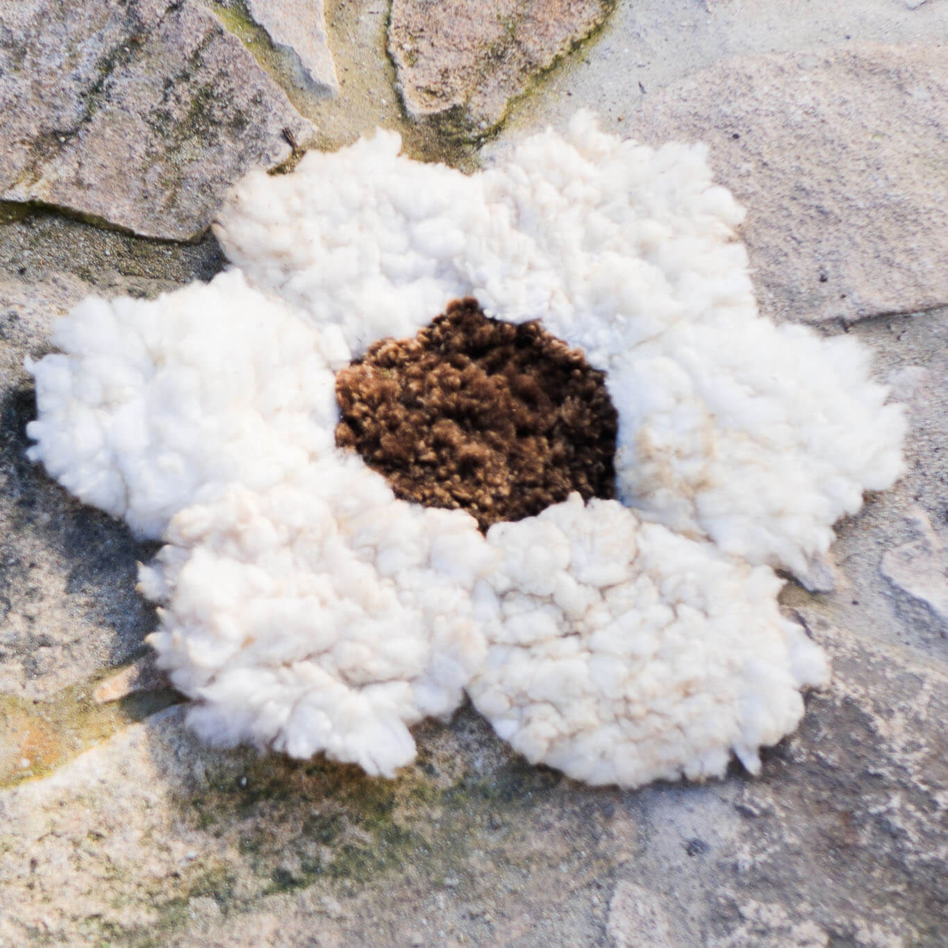 Flower rugs with brown centre and white petals