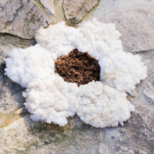 Flower rugs with brown centre and white petals