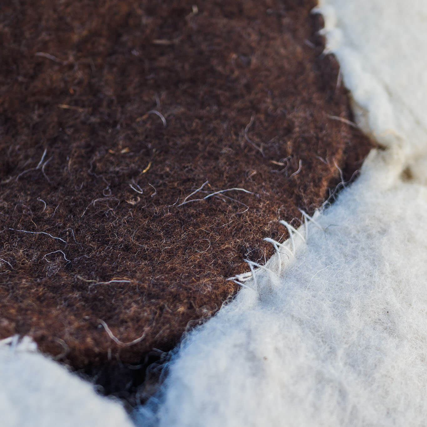 Flower rugs with brown centre and white petals