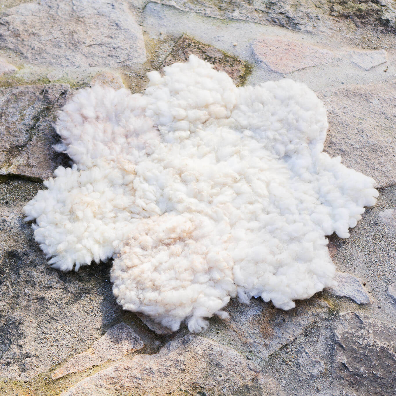 White flower/cloud rugs