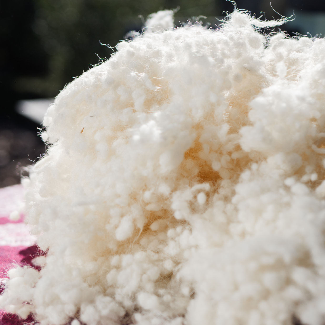 Wool filling for cushions, pillows, comforters