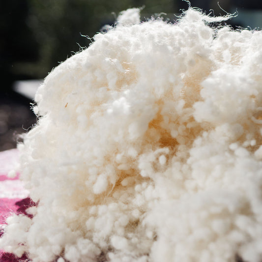 Wool filling for cushions, pillows, comforters
