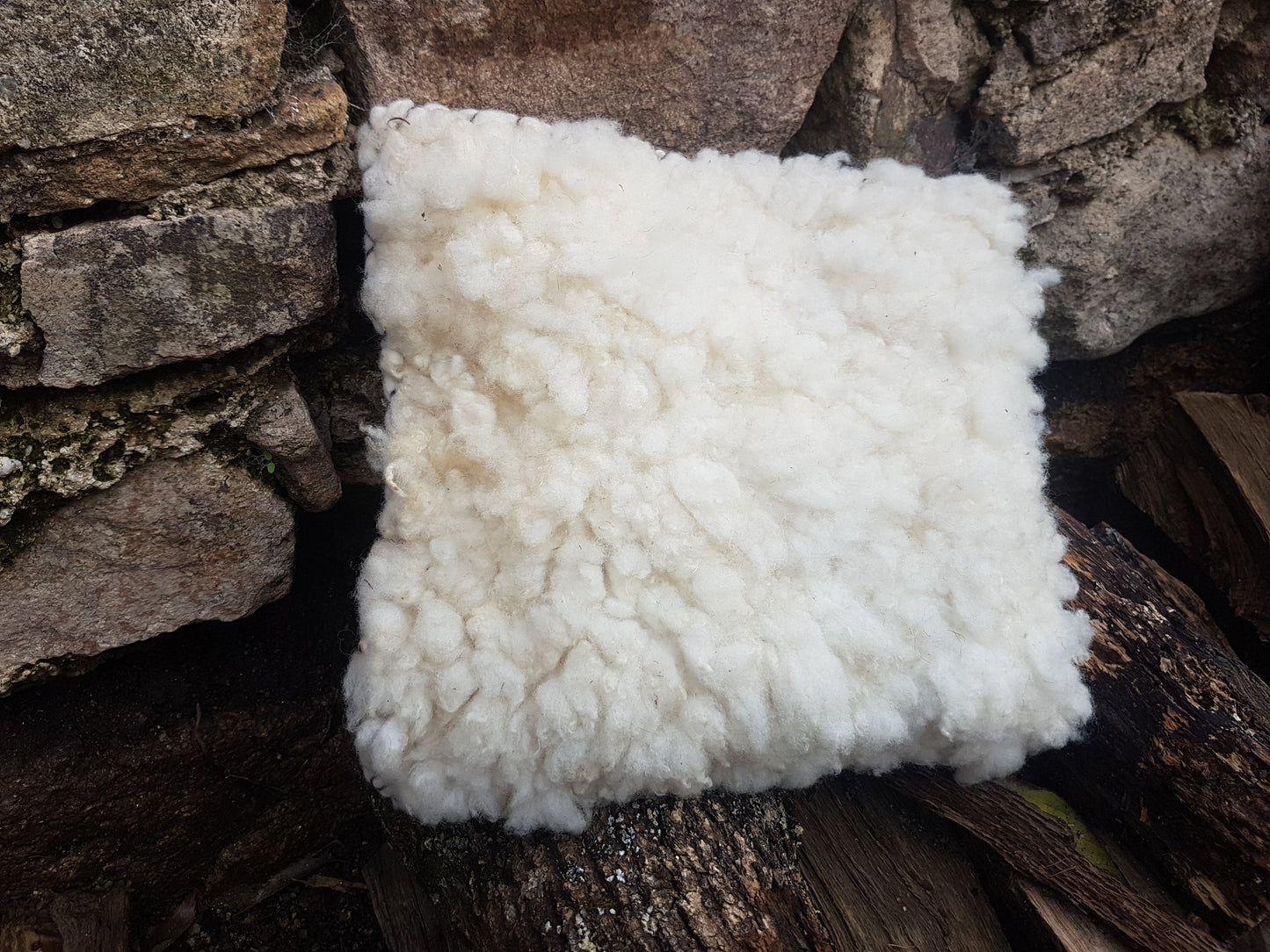 White felted merino wool cushion covers