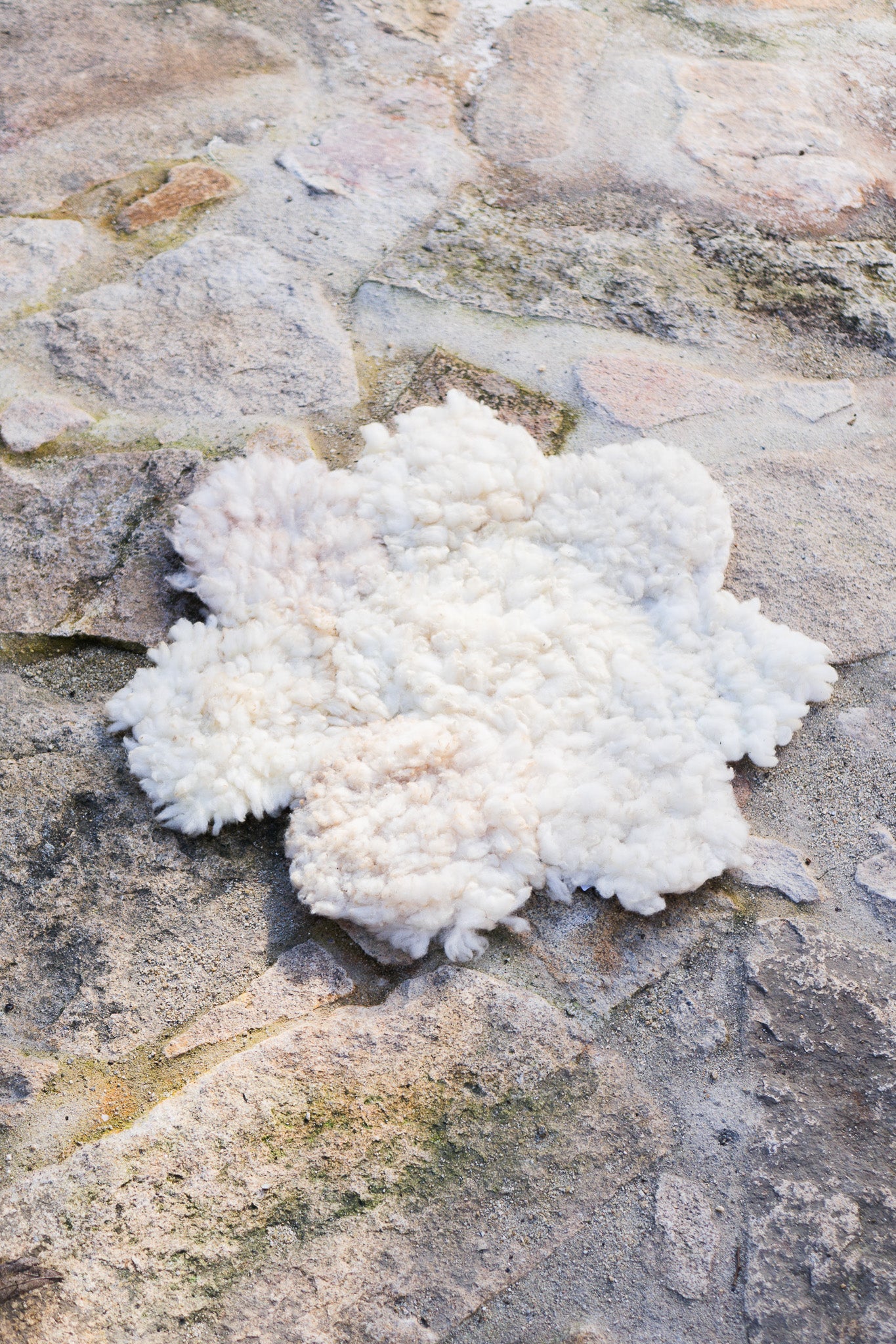 White flower/cloud rugs